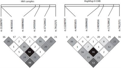 PDE4B Proposed as a High Myopia Susceptibility Gene in Chinese Population